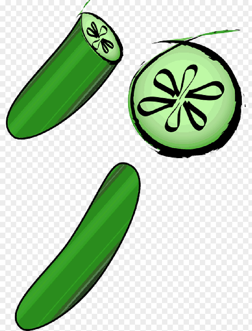 Cucumber Slices Clip Art Pickled Vector Graphics Openclipart PNG