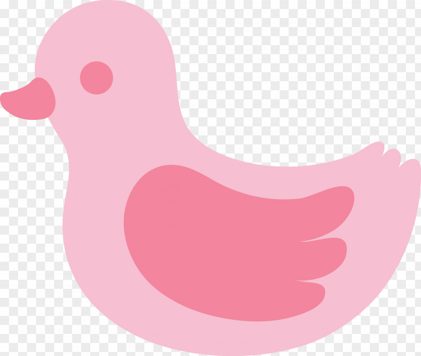 Duck Images Free Chicken Text Clip Art PNG