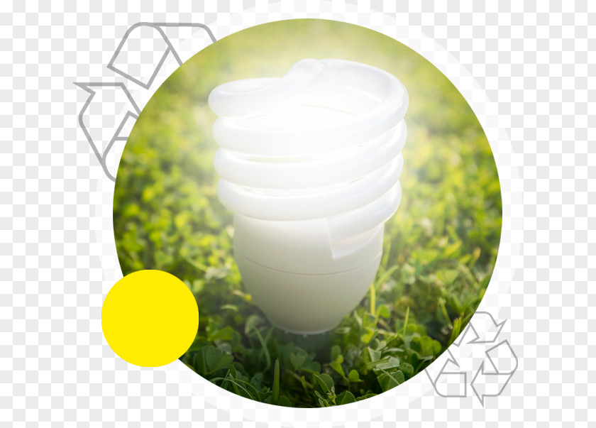 Fluorescent Bulb Recycling Lamp Energy Conservation Electricity Royalty-free PNG