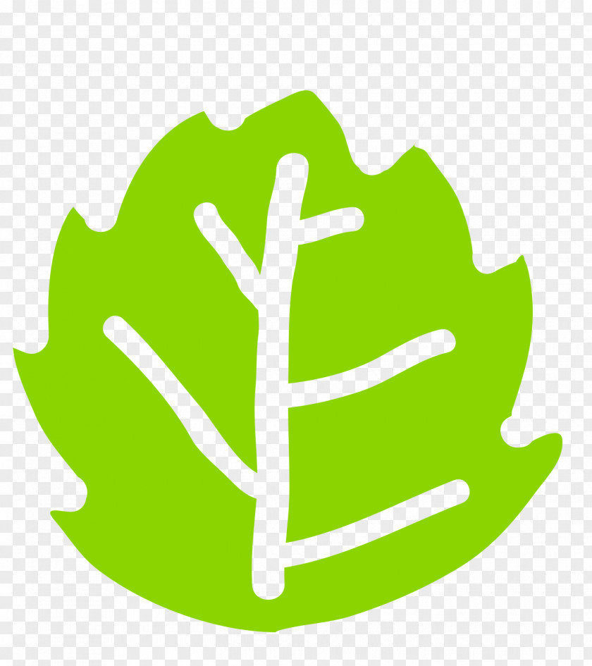 Green Leaf Vector PNG