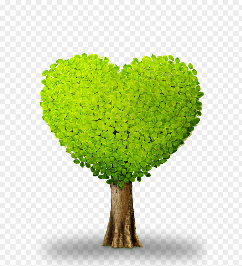 Heart Tree Plant Download Green Chemical Element PNG