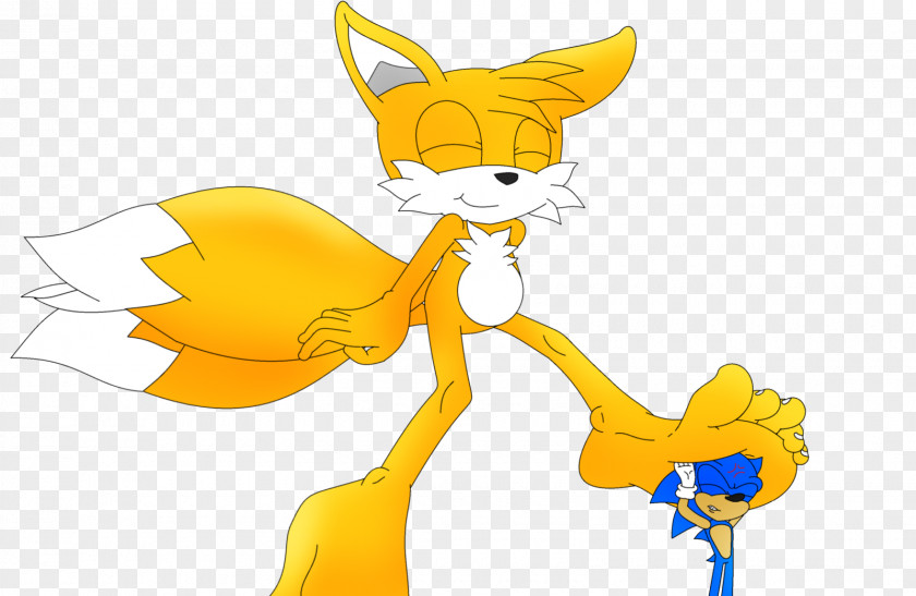 Late Night Tails Sonic Chaos Foot The Hedgehog Advance PNG
