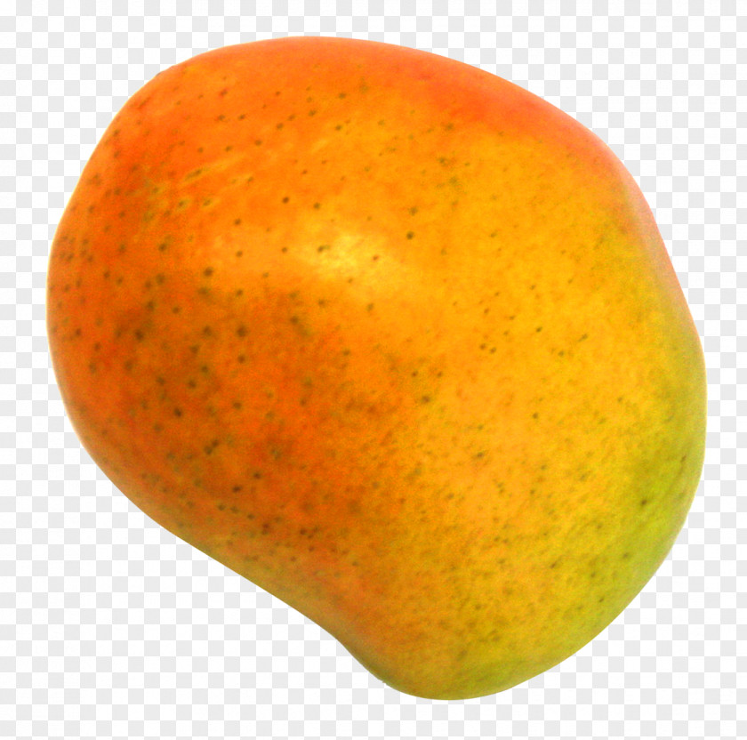 Mango Grapefruit Orange Apple PNG