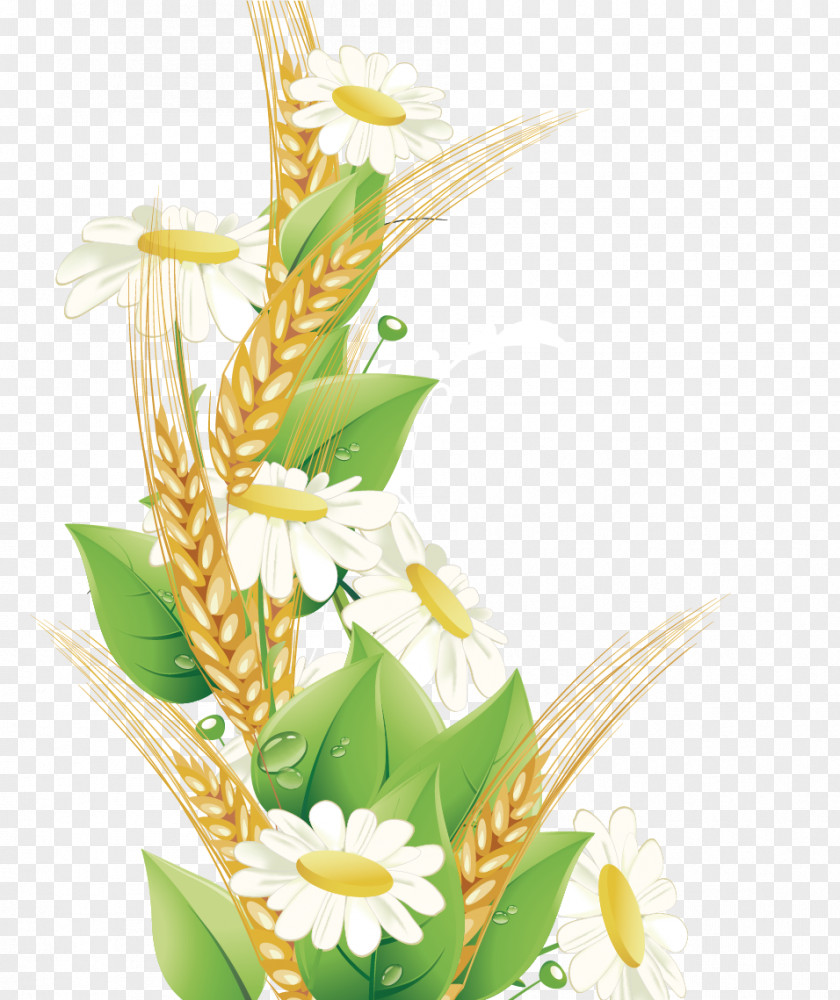 Wheat Border Flower Drawing Line Art PNG