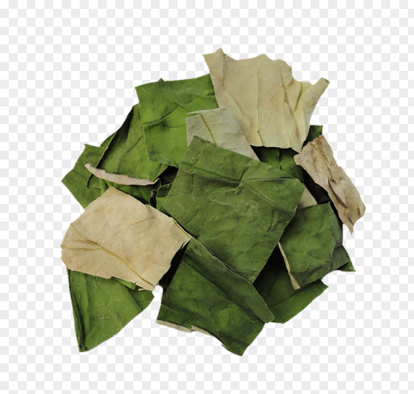 Wild Lotus Leaf Tea Sicklepod Clip Art PNG