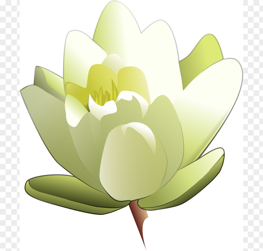 Cartoon Lily Flower Easter Tiger Clip Art PNG