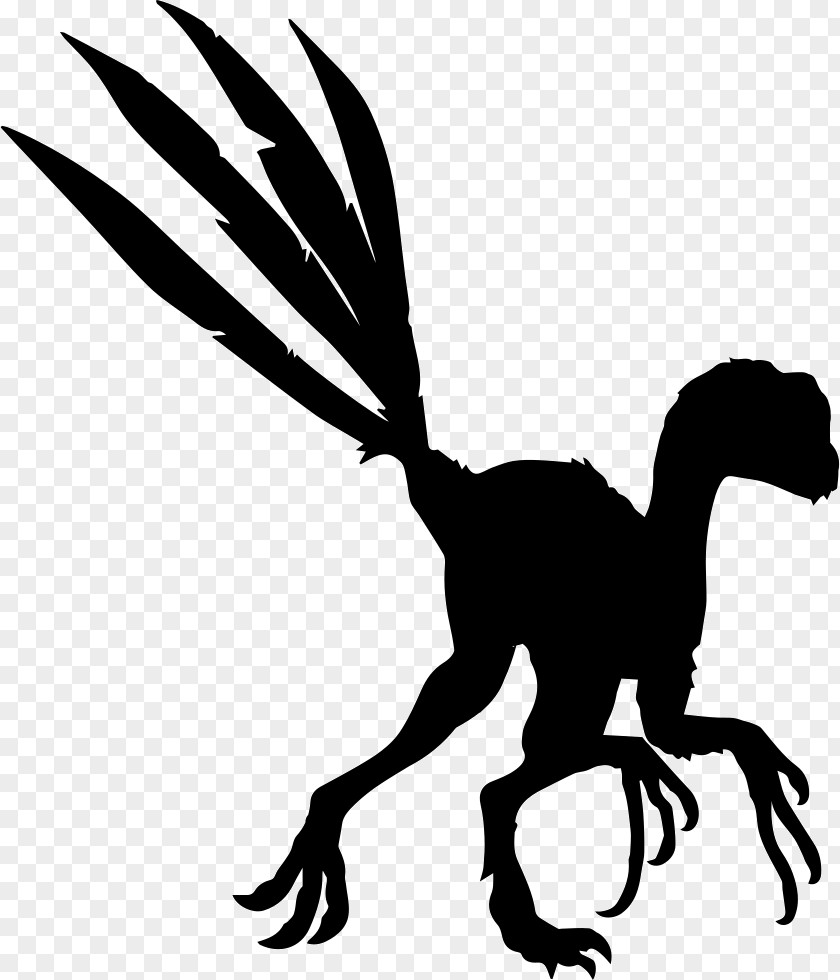 Dinosaur Epidexipteryx Microraptor Archaeopteryx Vector Graphics PNG