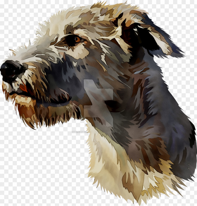 Dog Breed Terrier Snout PNG