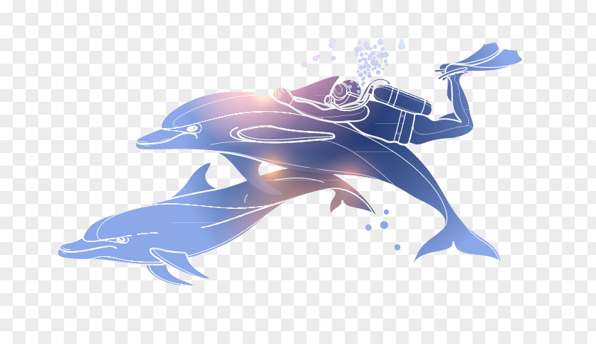 Dolphin And Diver Underwater Diving Illustration PNG