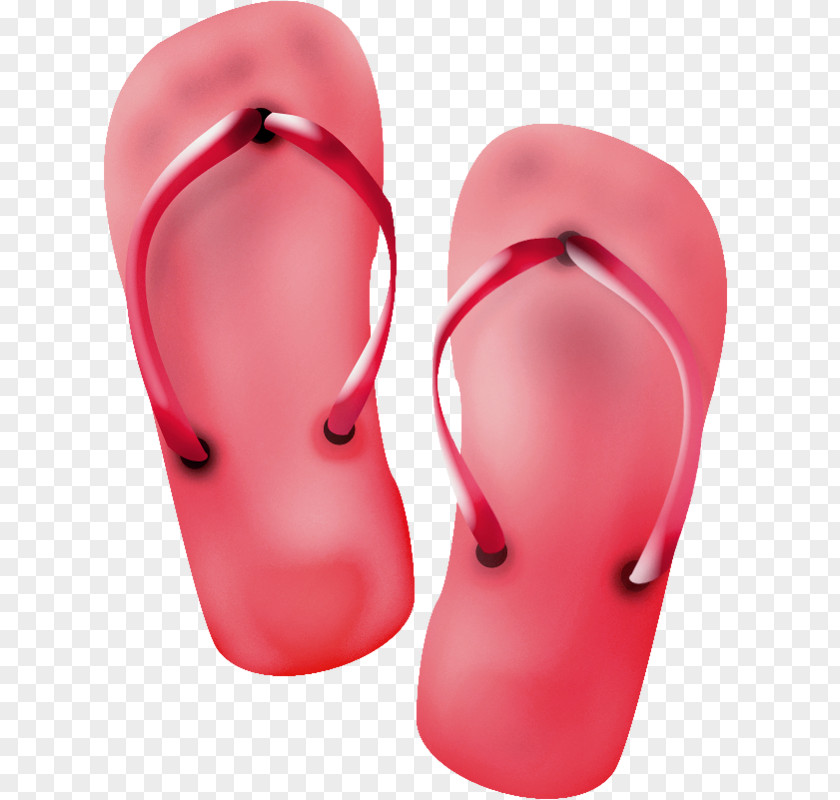 Flip Flops Cartoon PNG