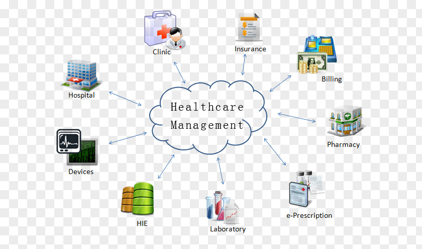 Healthcare Management Health Administration Care System Hospital PNG