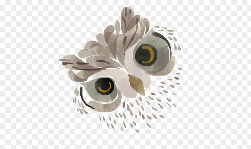 Hu Hazelnut Owl Drawing Art Image Illustration PNG