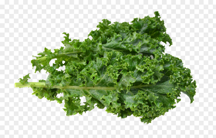 Kale Leaf Vegetable Nutrition Facts Label Food PNG