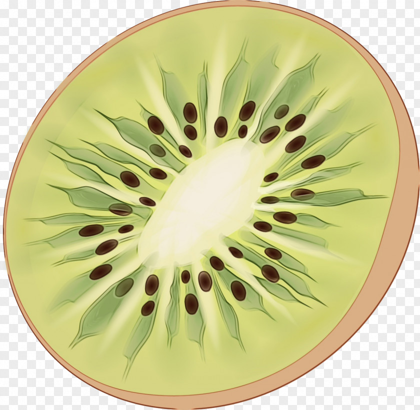 Kiwifruit Green Plate Dishware Yellow PNG