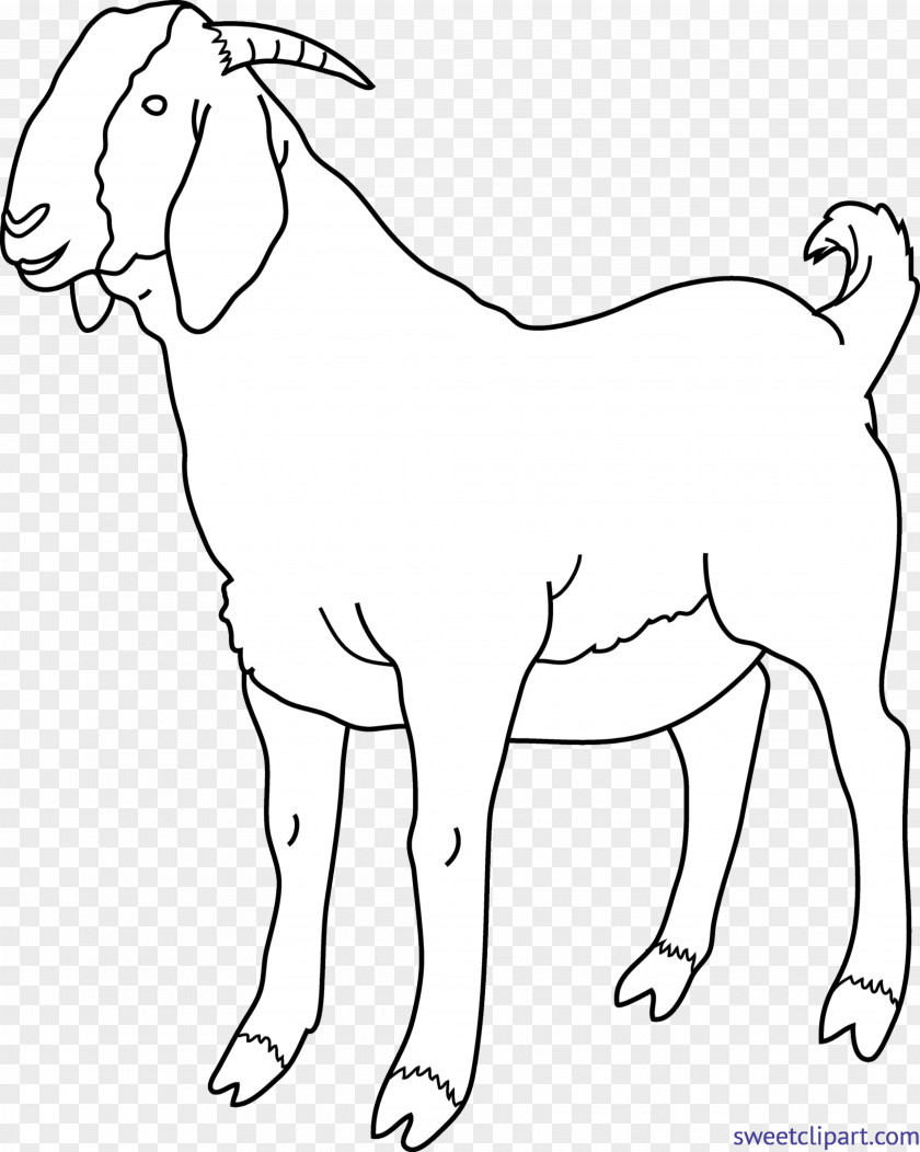 Meerkat Border Clip Art Boer Goat Black Bengal Image Russian White PNG