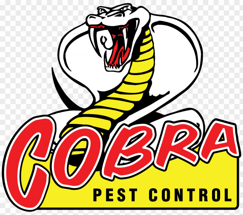 Pest Control Snake Reptile Drawing Cobra Clip Art PNG