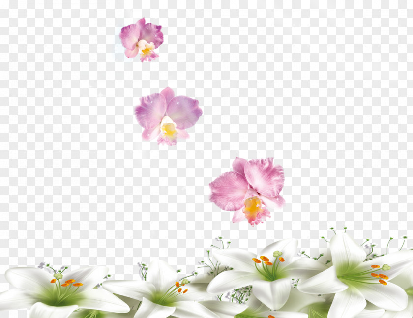 White Lily Floral Design Flower Lilium PNG