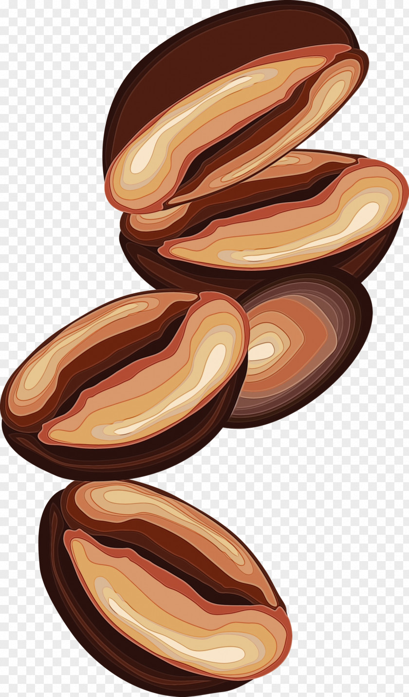 Wood Food Plant Nut PNG