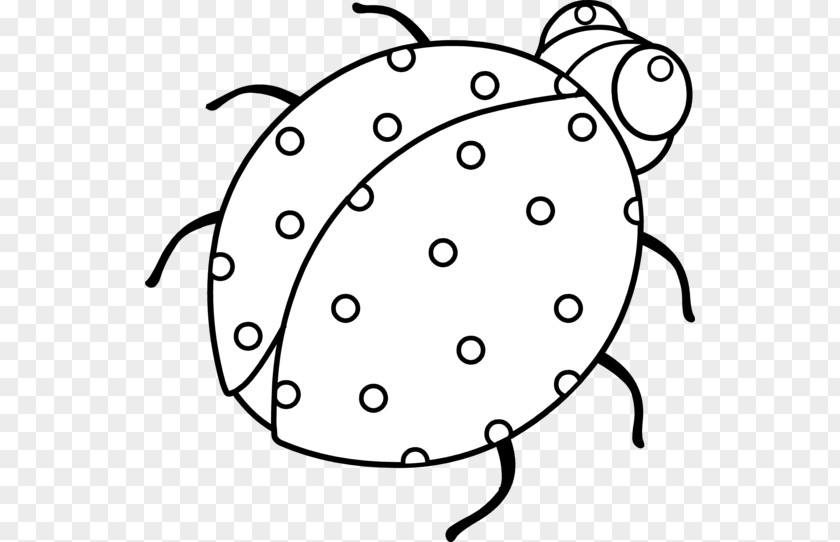 Cute Ladybug Clipart Ladybird Drawing Beetle Clip Art PNG
