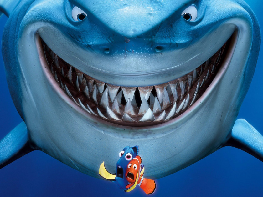 Sharks Bruce Great White Shark Film Pixar PNG