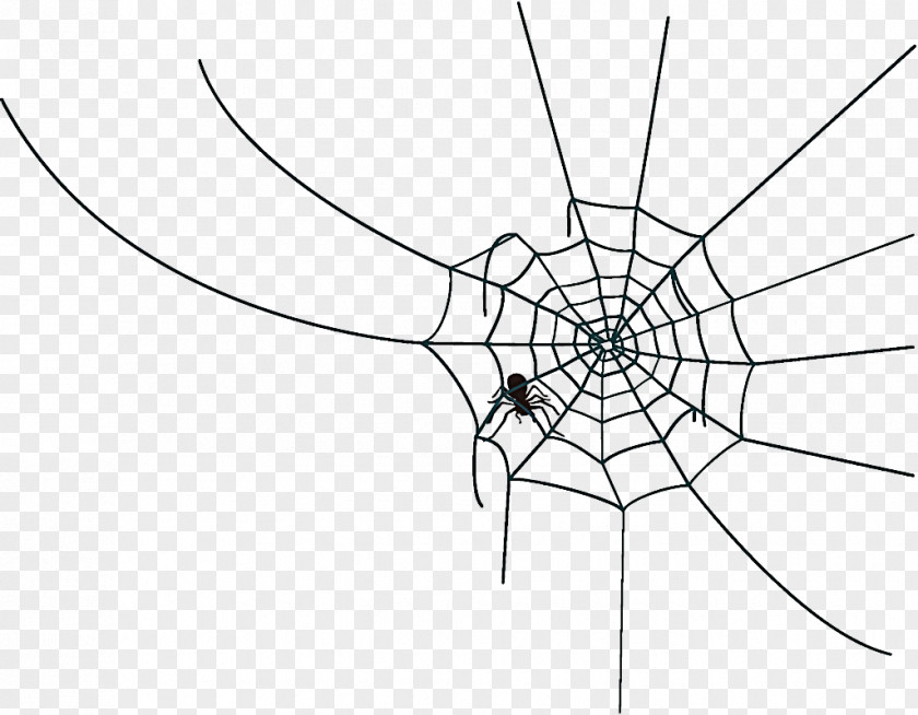 Spider Web Halloween PNG
