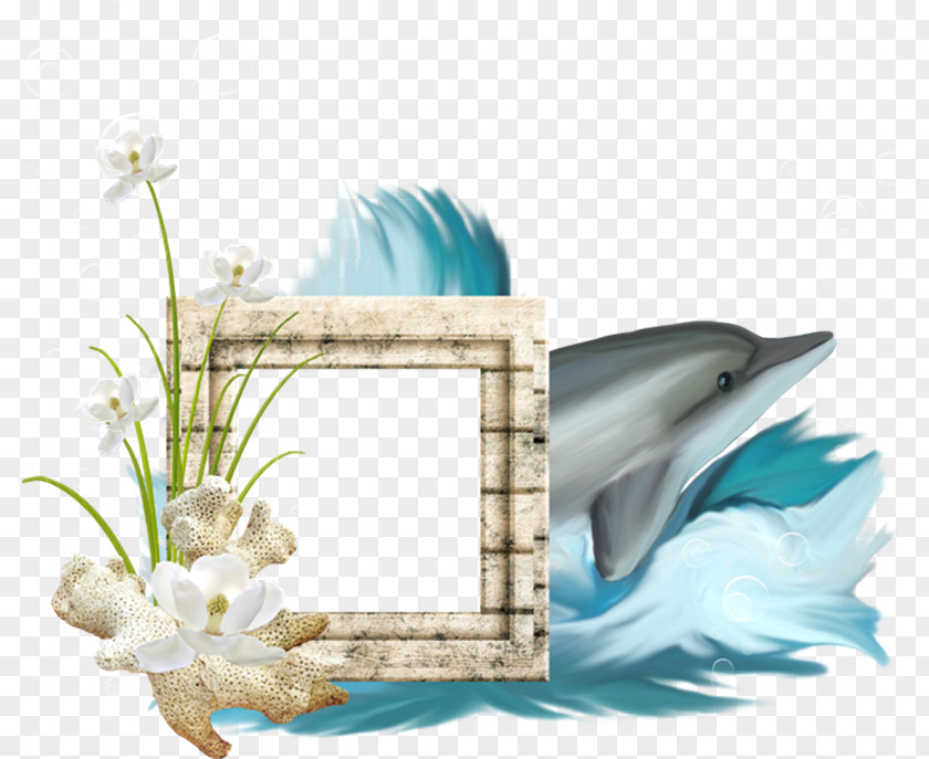 Yj Picture Frames Desktop Wallpaper Beach Clip Art PNG