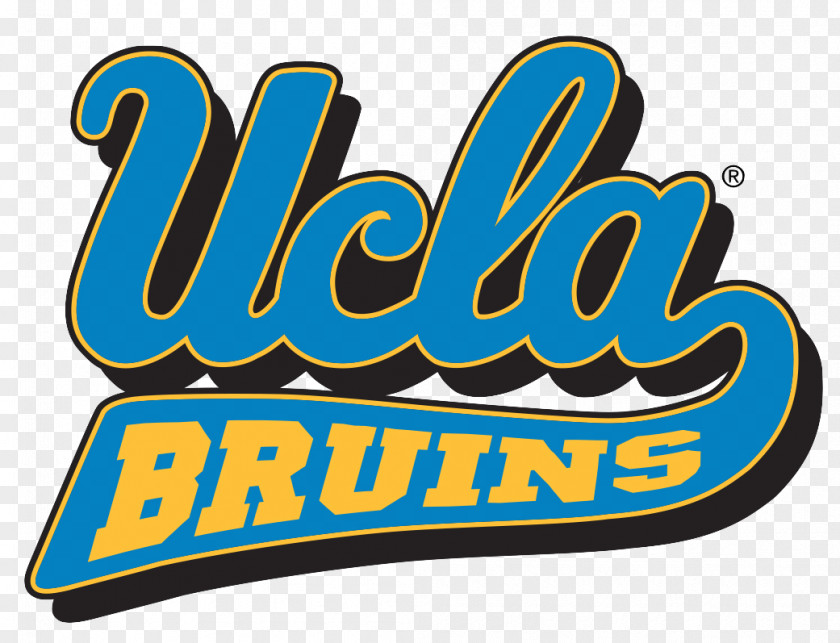 Beaver UCLA Bruins Men's Basketball Football University Of California, Los Angeles NCAA Division I Tournament Pacific-12 Conference PNG