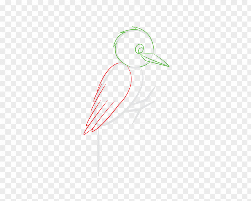 Bird Beak /m/02csf Water Logo PNG