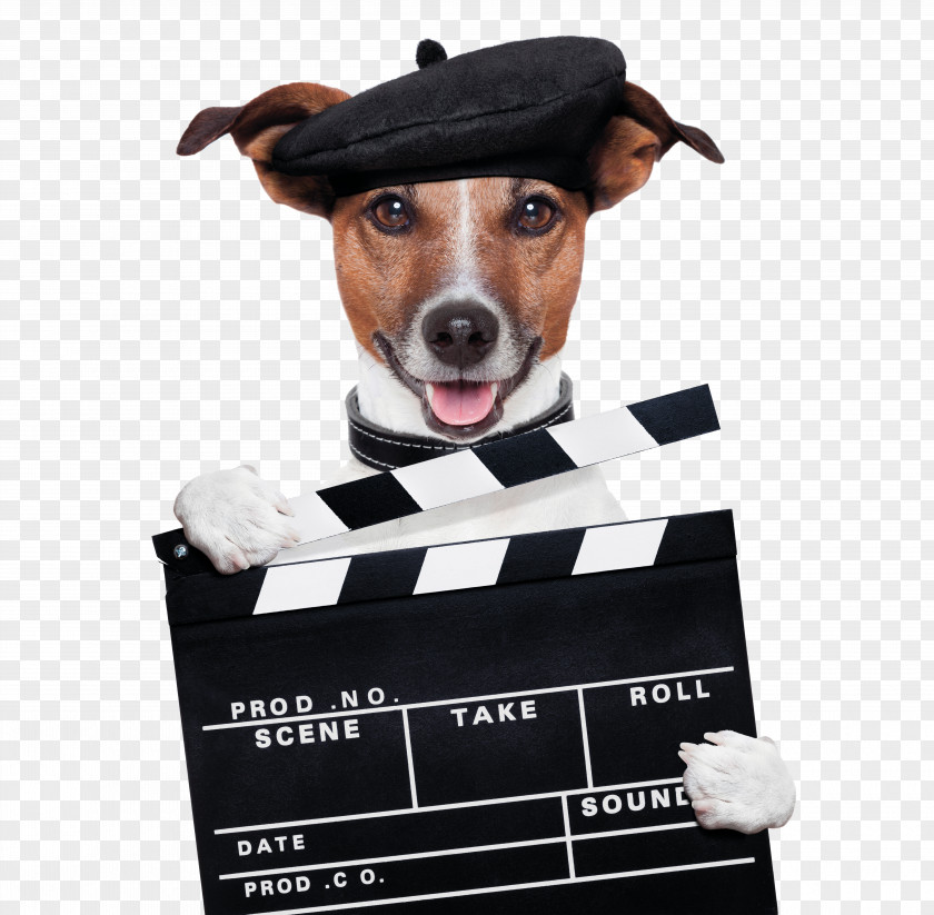 Holding The Sign Of Dog Card PNG