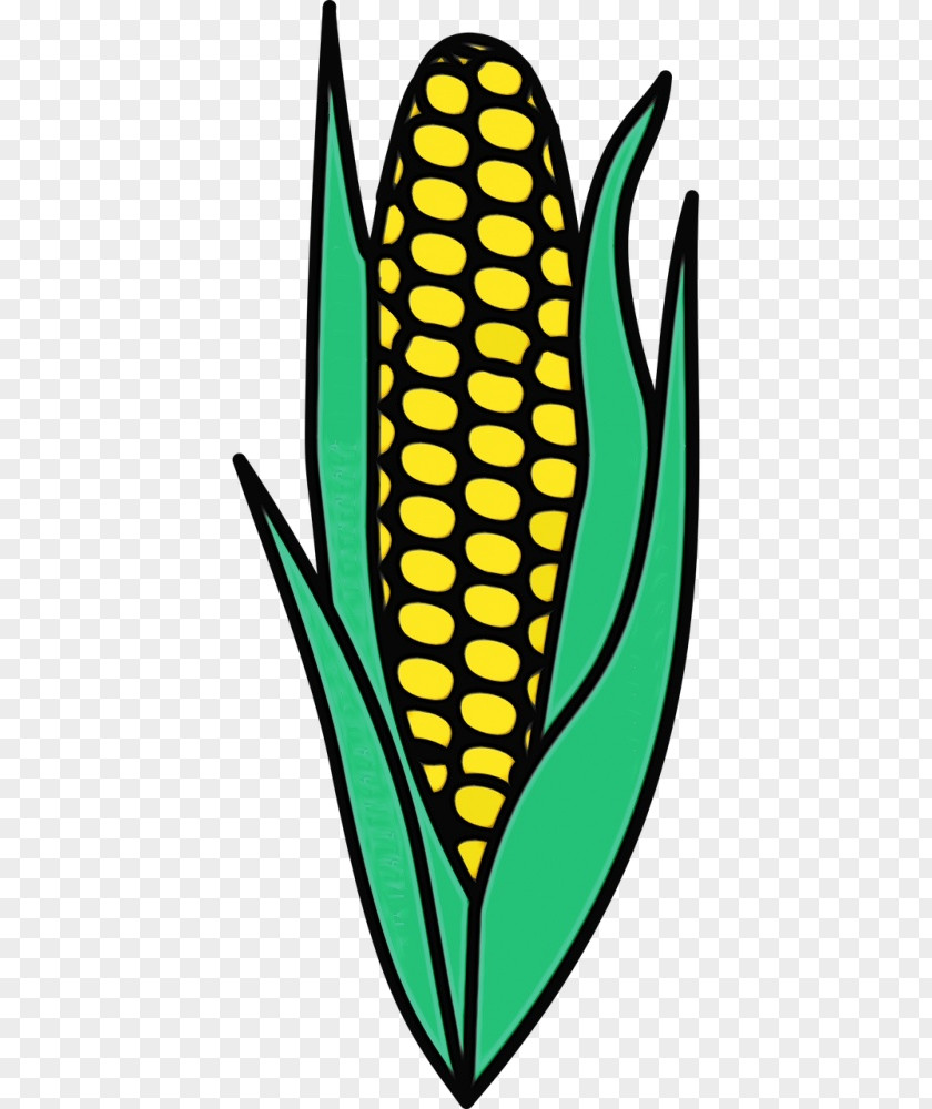 Plant Corn Candy PNG