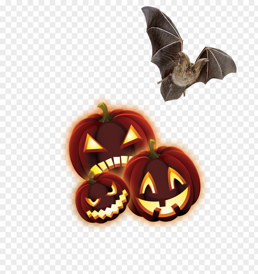 Pumpkins Bats Calabaza Halloween Jack-o-lantern PNG