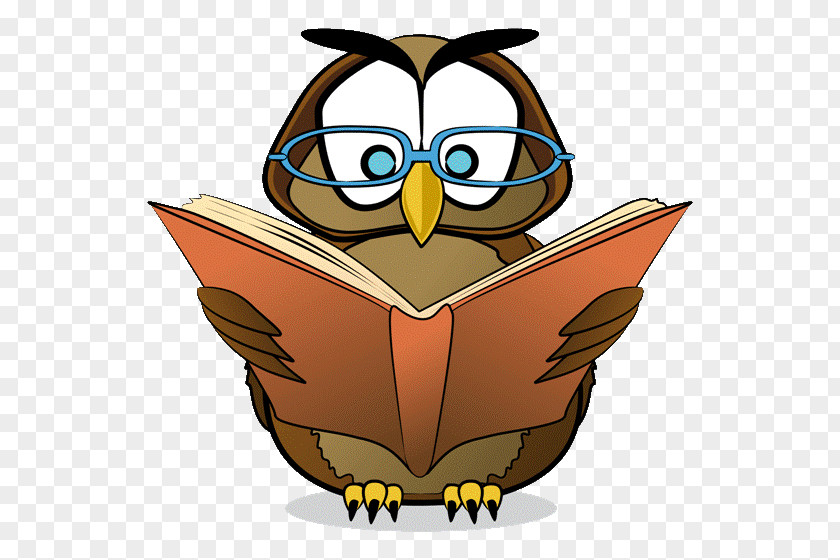 Word Wise Owls Reading Famous Quotes Book PNG