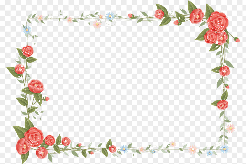 Adorn Vector Flower Picture Frames Photography PNG
