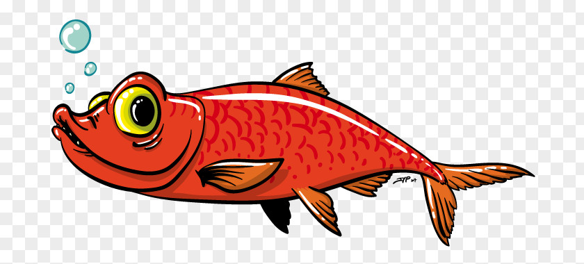Pourri Atlantic Herring Drawing Fish Illustration Red PNG