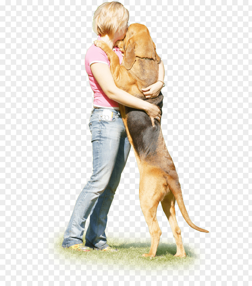 Puppy Dog Breed Companion Obedience Training PNG