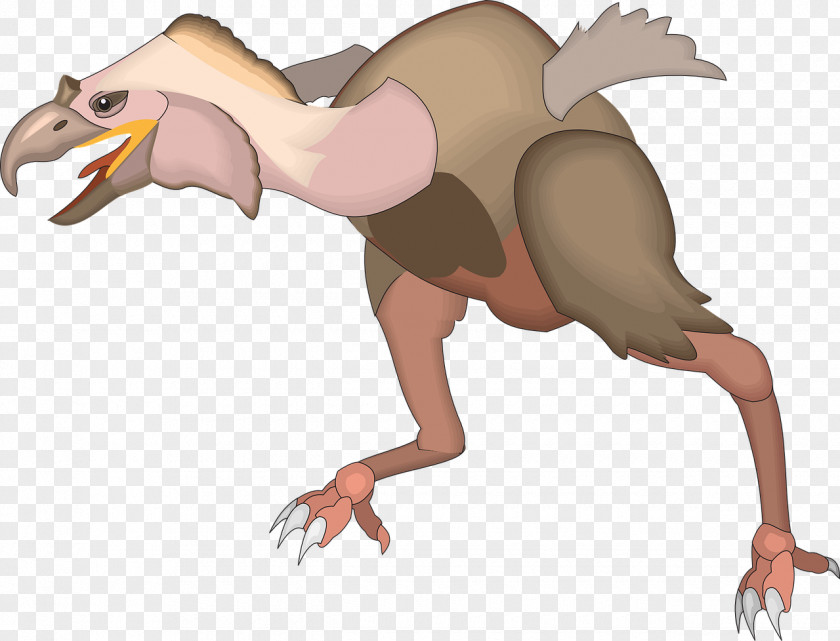 Roar Bird Reptile Dinosaur Clip Art PNG