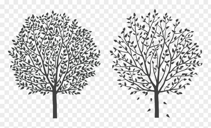 Two Black Silhouettes Of Trees Tree Twig Silhouette Cartoon Line Art PNG