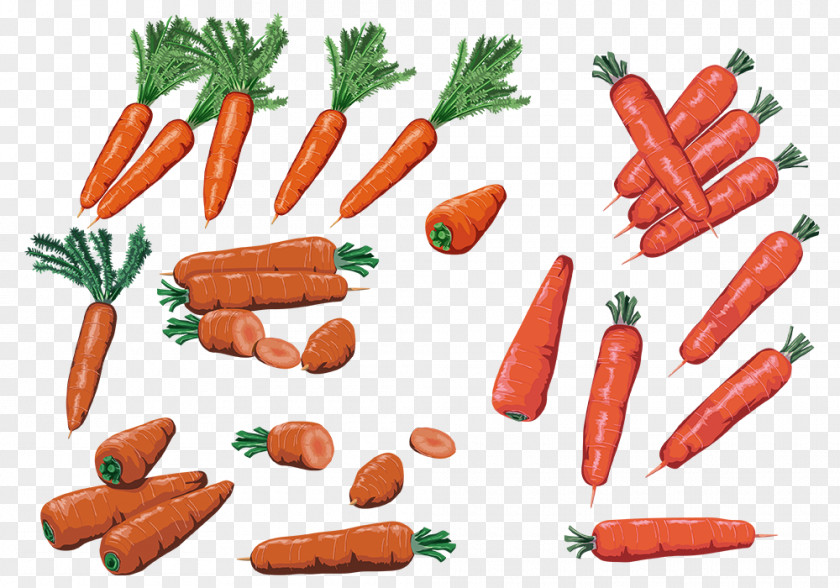 Carrots Are Rich In Vitamin C Carrot Clip Art PNG