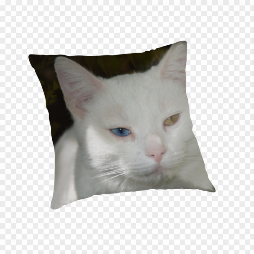 Cat Whiskers Domestic Short-haired Cushion Pillow PNG