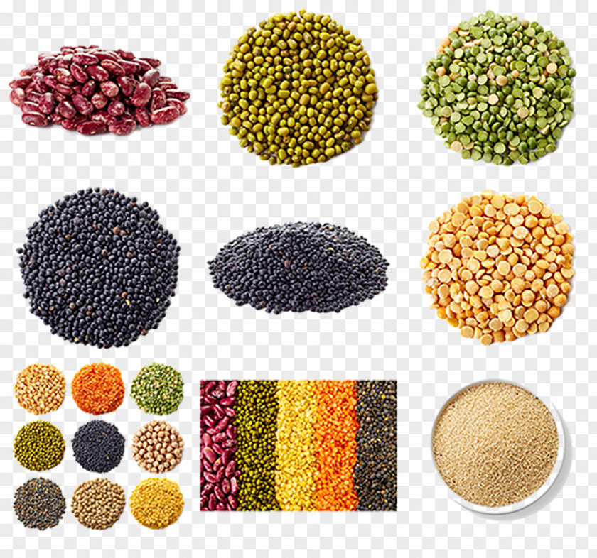 Cereals Cereal Mung Bean Soybean Five Grains PNG