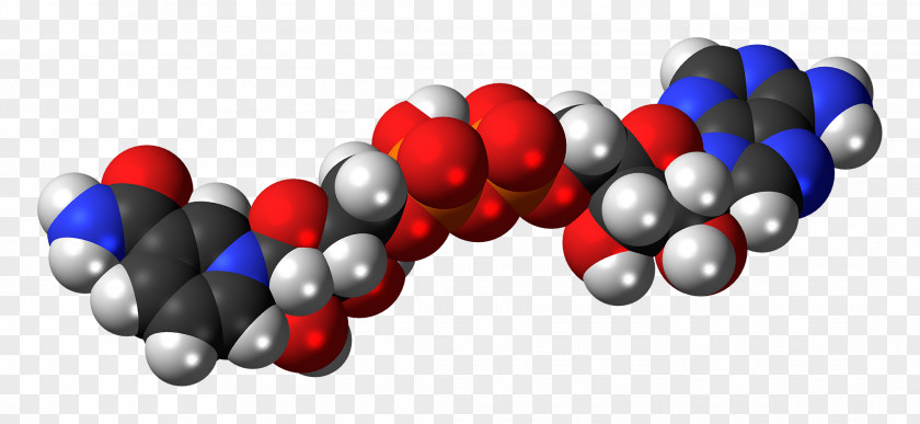 Chemical Energy Acid Space-filling Model Reaction Molecule PNG