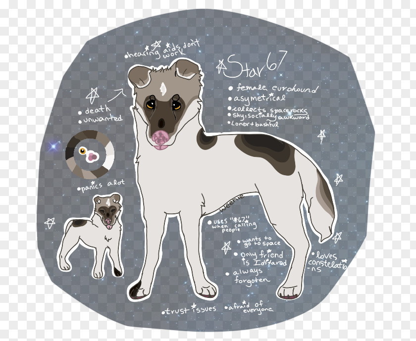 Dog Breed Crossbreed PNG