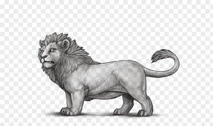 Lion Roar Big Cat Dwarfism PNG