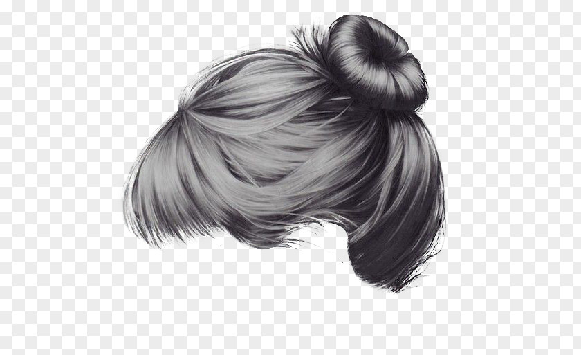 Meatball Hair Type The Case Of Lisandra P. Forbidden Confidant Book Publishing PNG