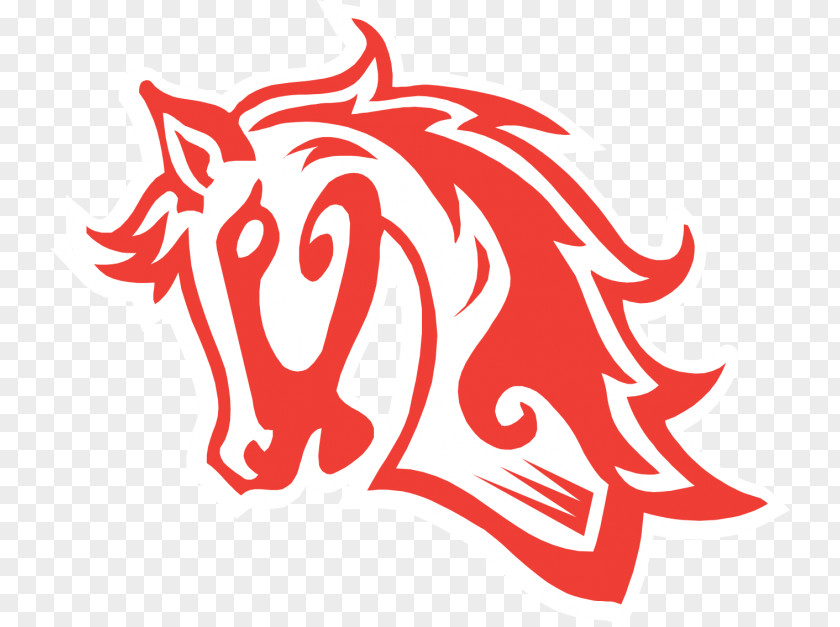 American Paint Horse Pony Stallion Chaparral High School Pattern PNG
