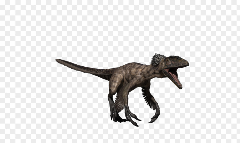 Dinosaur Deinonychus Velociraptor Spinosaurus Carcharodontosaurus Majungasaurus PNG