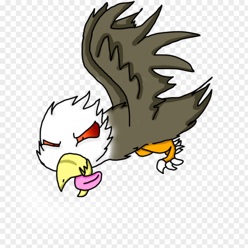 Eagle Rooster Beak Clip Art PNG