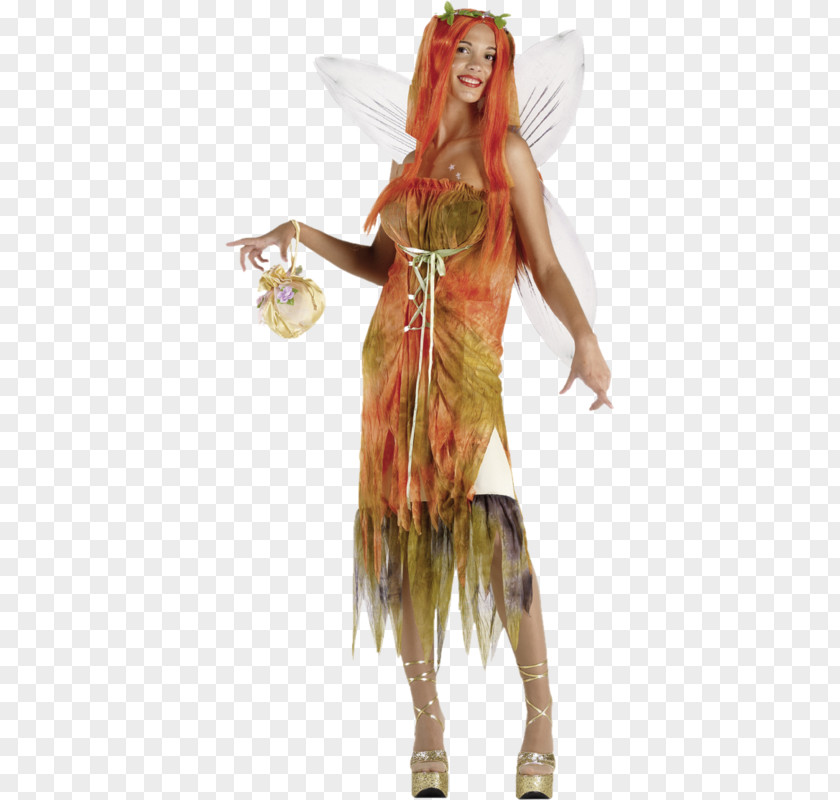 Fairy Costume Design Elf Dress PNG