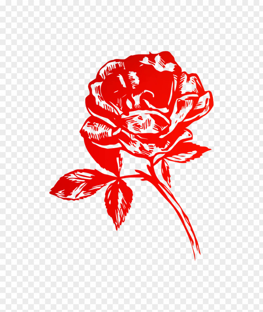 Garden Roses Illustration Floral Design Cut Flowers Clip Art PNG
