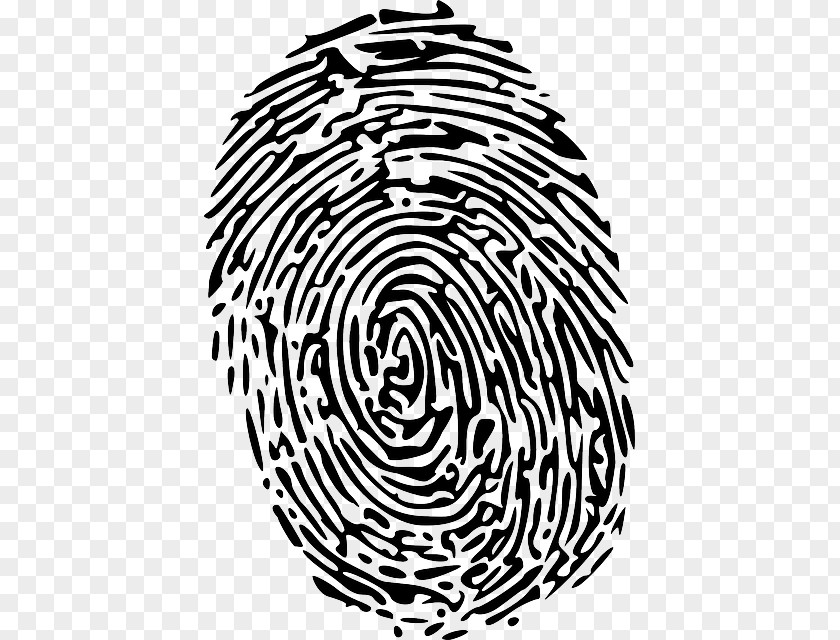 Index Finger Drawing Clip Art Fingerprint Openclipart Forensic Science Image PNG